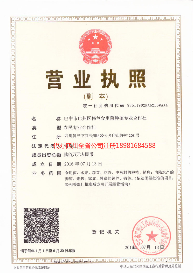 西充西充伟兰食用菌种植专业合作社