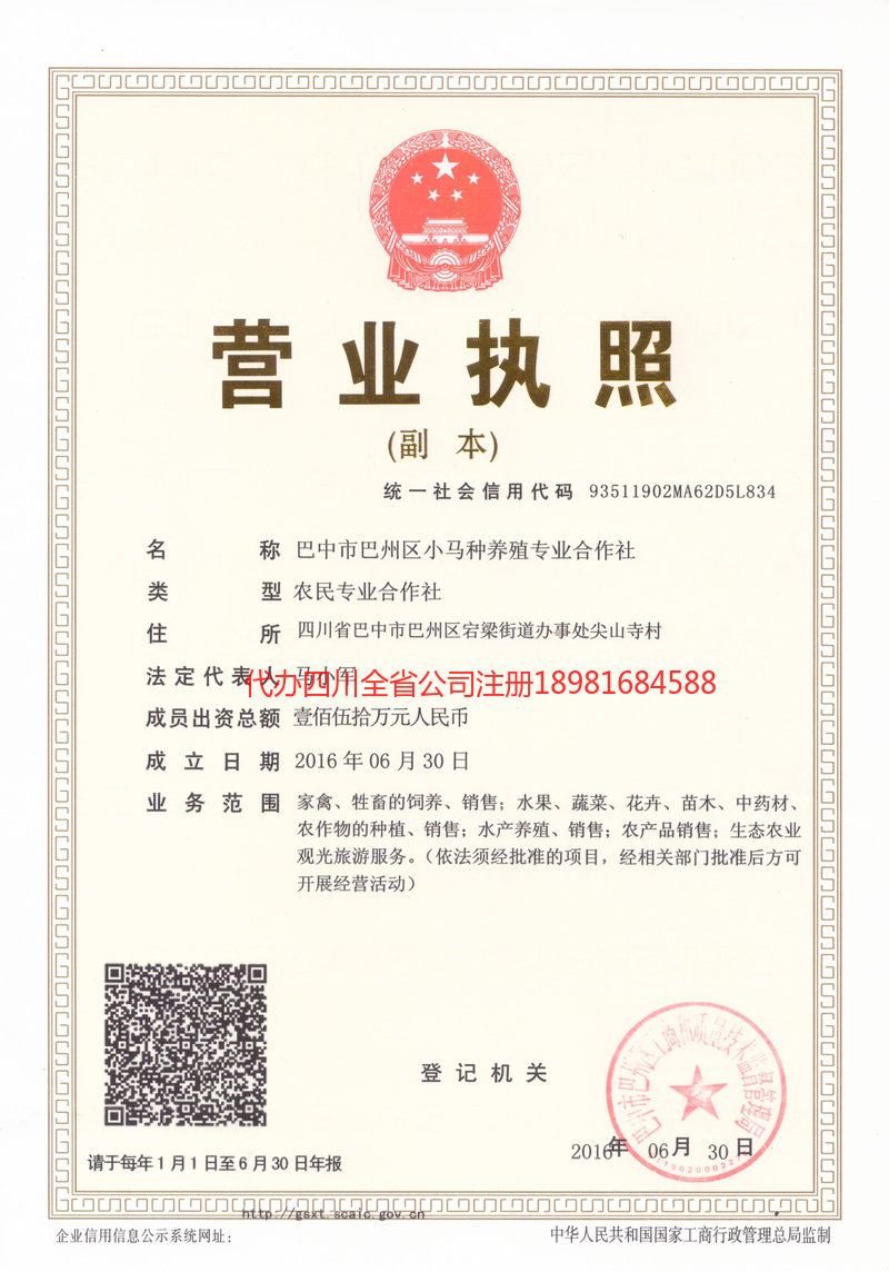 西充西充小马种养殖专业合作社